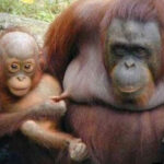 赏金大对决:挑战自我,超越极限的旅程 q8sxkve