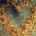 赏金女王与自我提升:终身学习的重要性 r9044tjfm