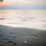 赏金女王app下载:打破传统工作的全新方式 rz04yff8u