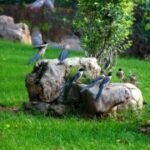 赏金大对决:战斗精神与不屈意志的体现 wnrj6o